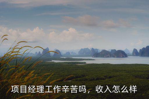 湖北能源 項(xiàng)目經(jīng)理待遇怎么樣,工程項(xiàng)目經(jīng)理待遇怎么樣