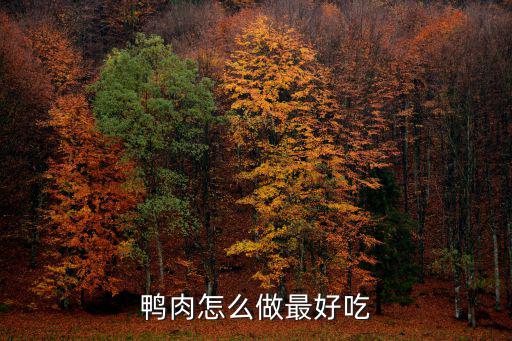 湖北鴨貨怎么做好吃,老鴨怎么做好吃