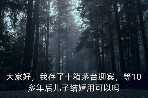 大家好，我存了十箱茅臺迎賓，等10多年后兒子結婚用可以嗎
