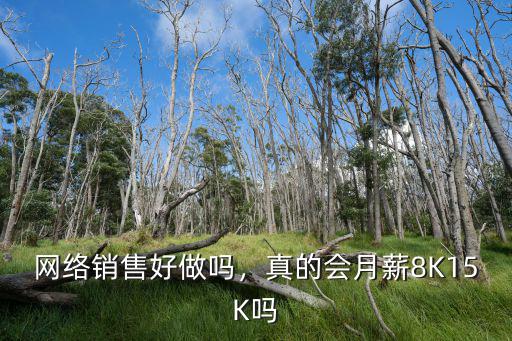 網(wǎng)絡(luò)銷售好做嗎，真的會月薪8K15K嗎