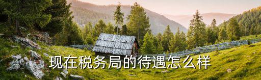 現在稅務局的待遇怎么樣