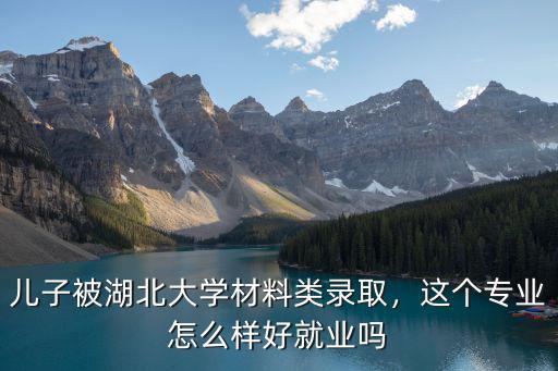 兒子被湖北大學材料類錄取，這個專業怎么樣好就業嗎