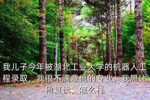 湖北工業(yè)大學機器人工程專業(yè)怎么樣,湖北工業(yè)大學機械類怎么樣