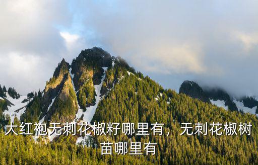 大紅袍無刺花椒籽哪里有，無刺花椒樹苗哪里有