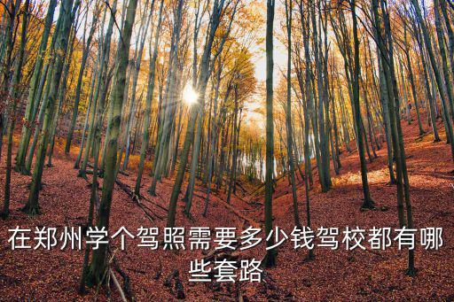 在鄭州學(xué)個(gè)駕照需要多少錢駕校都有哪些套路