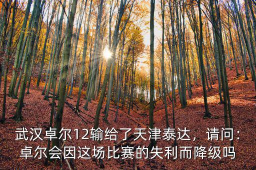 武漢卓爾12輸給了天津泰達，請問：卓爾會因這場比賽的失利而降級嗎