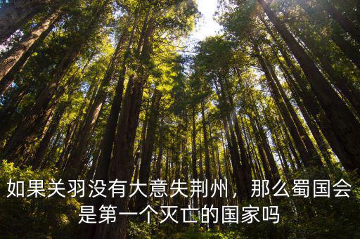 如果關羽沒有大意失荊州會怎么樣,如果關羽沒有大意失荊州