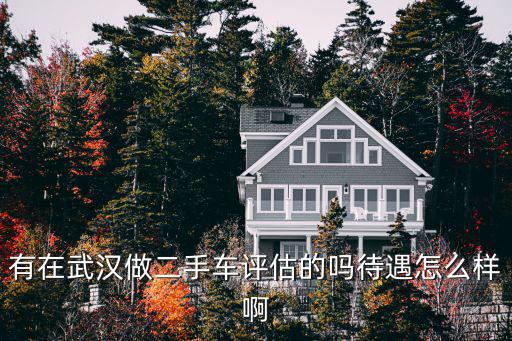 有在武漢做二手車評估的嗎待遇怎么樣啊