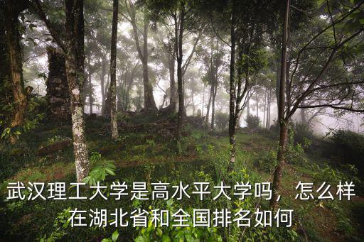 武漢理工大學是高水平大學嗎，怎么樣在湖北省和全國排名如何