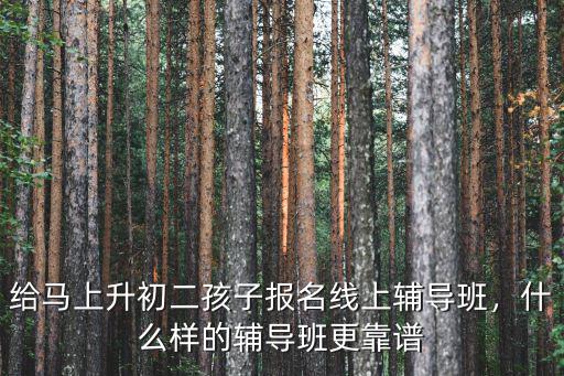 給馬上升初二孩子報名線上輔導班，什么樣的輔導班更靠譜