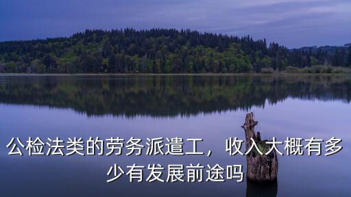 公檢法類的勞務派遣工，收入大概有多少有發展前途嗎