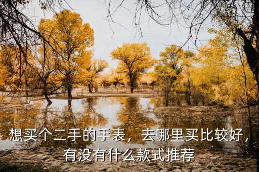 想買個二手的手表，去哪里買比較好，有沒有什么款式推薦