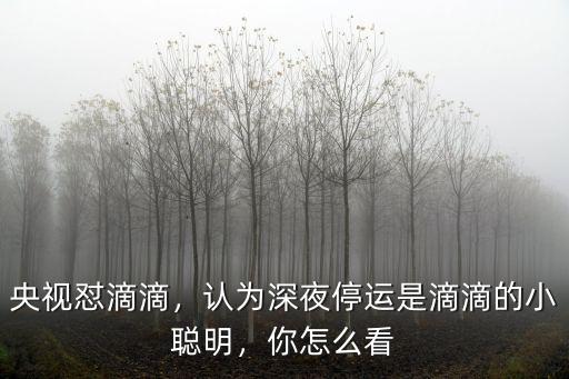 央視懟滴滴，認(rèn)為深夜停運(yùn)是滴滴的小聰明，你怎么看