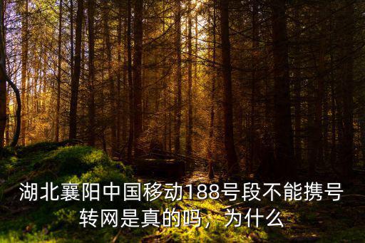 湖北襄陽中國移動188號段不能攜號轉網是真的嗎，為什么