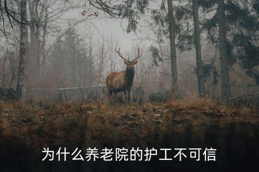 為什么養(yǎng)老院的護(hù)工不可信