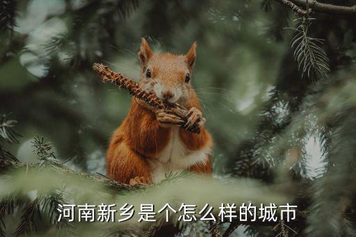 河南新鄉是個怎么樣的城市