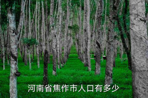 河南省焦作市人口有多少