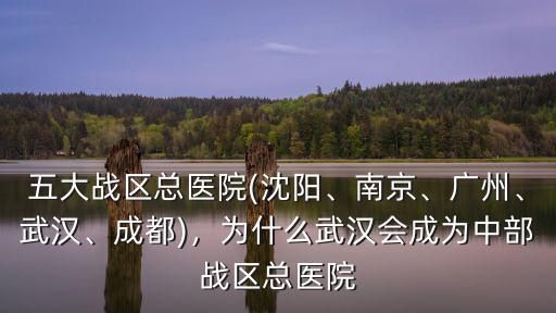 五大戰區總醫院(沈陽、南京、廣州、武漢、成都)，為什么武漢會成為中部戰區總醫院