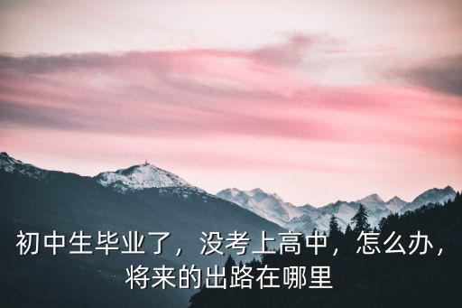 初中畢業(yè)沒有考上高中怎么辦河南,初三如果考不上高中怎么辦