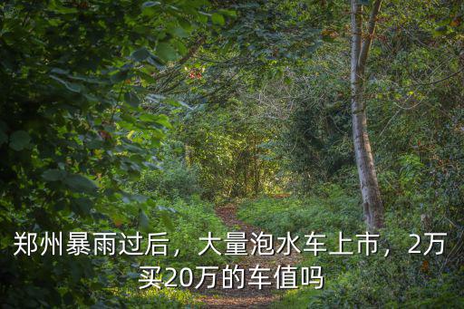 鄭州暴雨過后，大量泡水車上市，2萬買20萬的車值嗎