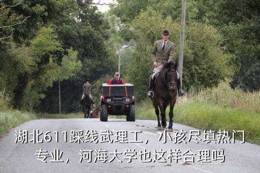 湖北理工怎么填,湖北611踩線武理工