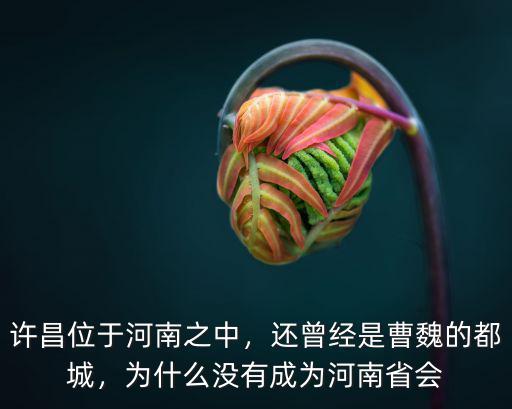 許昌位于河南之中，還曾經(jīng)是曹魏的都城，為什么沒有成為河南省會