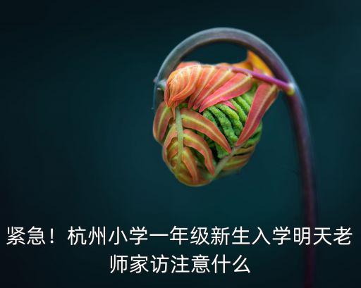 緊急！杭州小學一年級新生入學明天老師家訪注意什么