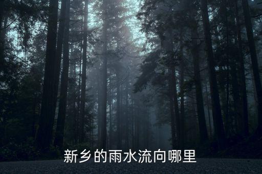 新鄉(xiāng)的雨水流向哪里