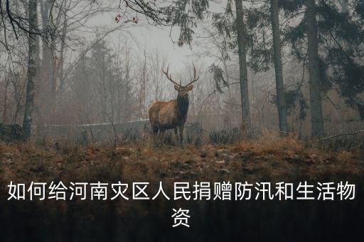 如何給河南災區人民捐贈防汛和生活物資