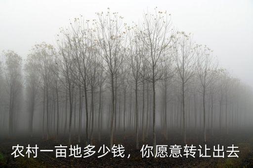 農(nóng)村一畝地多少錢，你愿意轉(zhuǎn)讓出去
