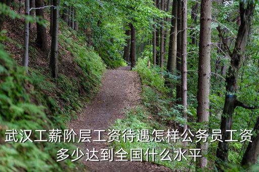 武漢工薪階層工資待遇怎樣公務員工資多少達到全國什么水平