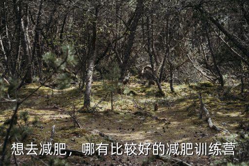 襄陽減肥怎么樣訓(xùn)練營,一縷揚光減肥訓(xùn)練營怎么樣