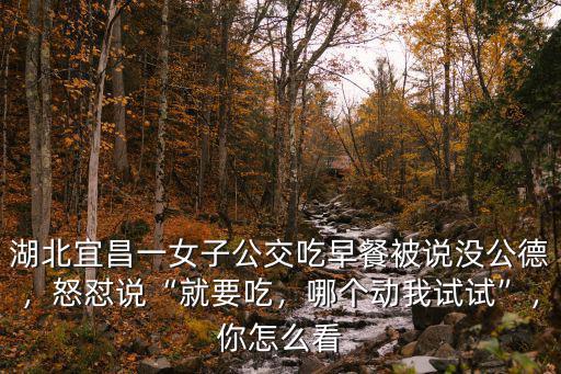 湖北宜昌一女子公交吃早餐被說沒公德，怒懟說“就要吃，哪個動我試試”，你怎么看