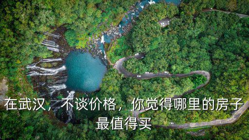 在武漢，不談價格，你覺得哪里的房子最值得買