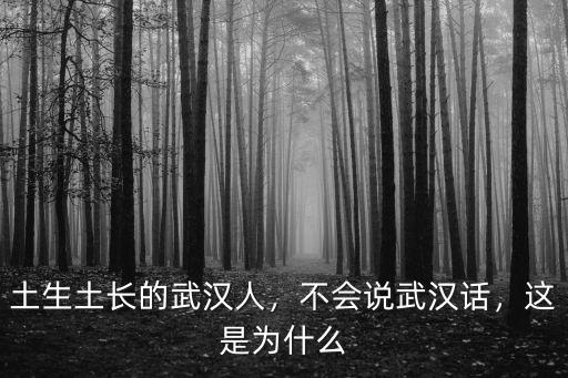 武漢話凳子怎么說,不會說武漢話