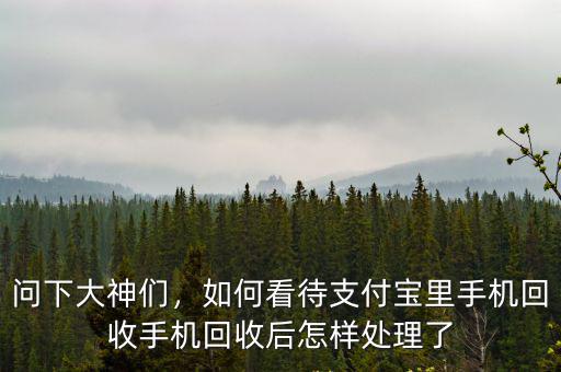 問下大神們，如何看待支付寶里手機回收手機回收后怎樣處理了