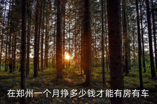 在鄭州一個月掙多少錢才能有房有車