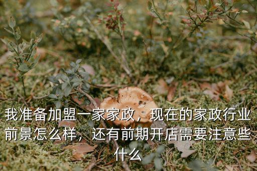 我準備加盟一家家政，現在的家政行業前景怎么樣，還有前期開店需要注意些什么