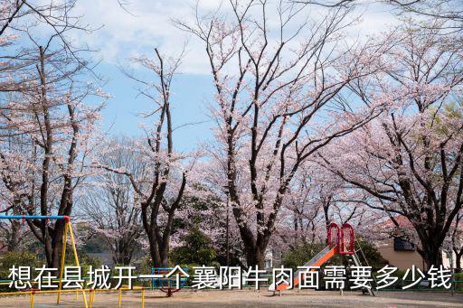 想在縣城開一個(gè)襄陽(yáng)牛肉面需要多少錢