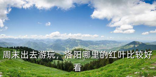 周末出去游玩，洛陽(yáng)哪里的紅葉比較好看