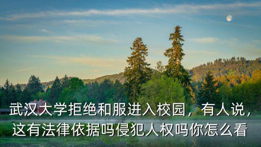 武漢大學(xué)我來了用英語怎么說,武漢大學(xué)外語系怎么樣