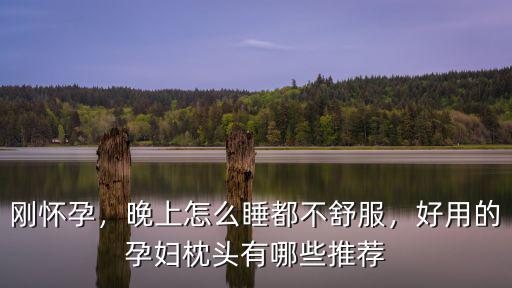 孕婦枕南陽哪里有,孕期有必要買孕婦枕嗎