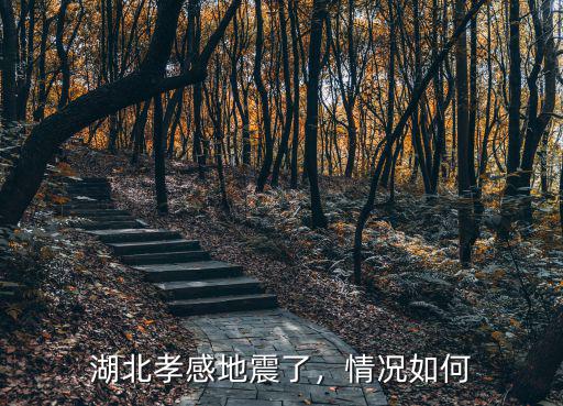 湖北孝感地震了，情況如何