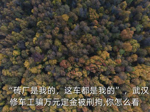 “磚廠是我的，這車都是我的”，武漢修車工騙萬元定金被刑拘,你怎么看