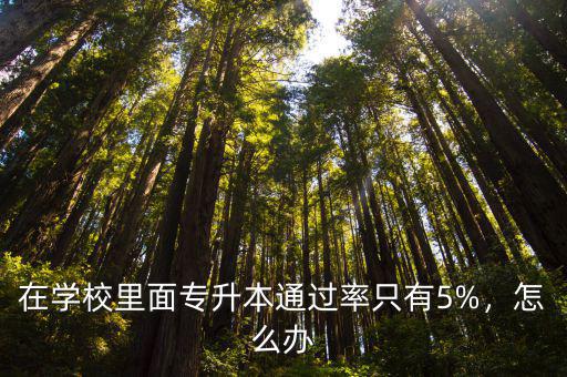 在學校里面專升本通過率只有5%，怎么辦