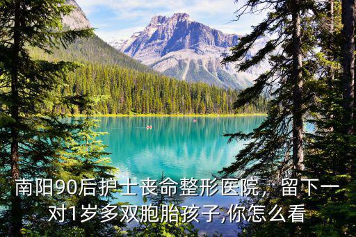 南陽90后護士喪命整形醫院，留下一對1歲多雙胞胎孩子,你怎么看