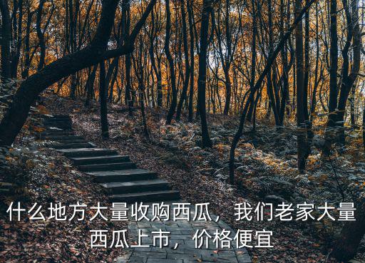 什么地方大量收購西瓜，我們老家大量西瓜上市，價(jià)格便宜