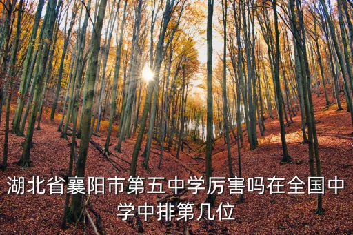湖北省襄陽(yáng)市第五中學(xué)厲害嗎在全國(guó)中學(xué)中排第幾位