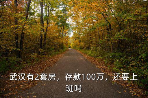 武漢有2套房，存款100萬，還要上班嗎