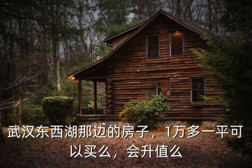 武漢東西湖那邊的房子，1萬多一平可以買么，會升值么